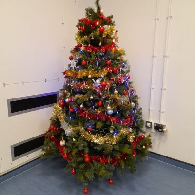 Holway Christmas Tree 2025